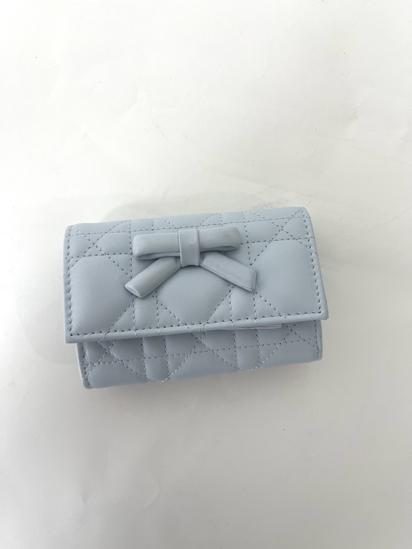 Card Holder, Coin Purse, Baby Blue Bow