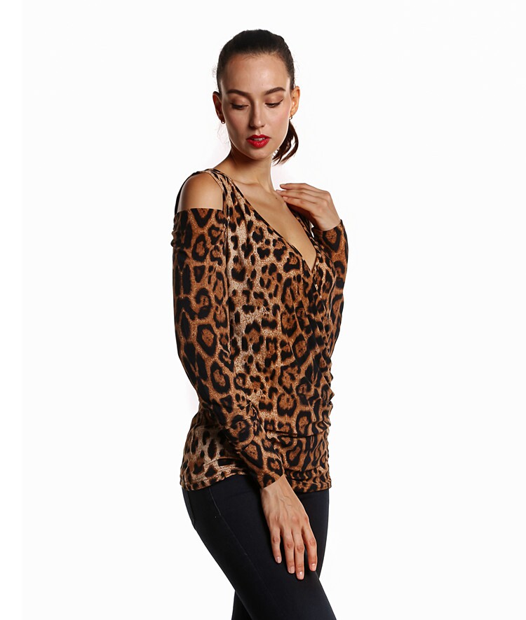 Leopard Print Deep V-Neck Top