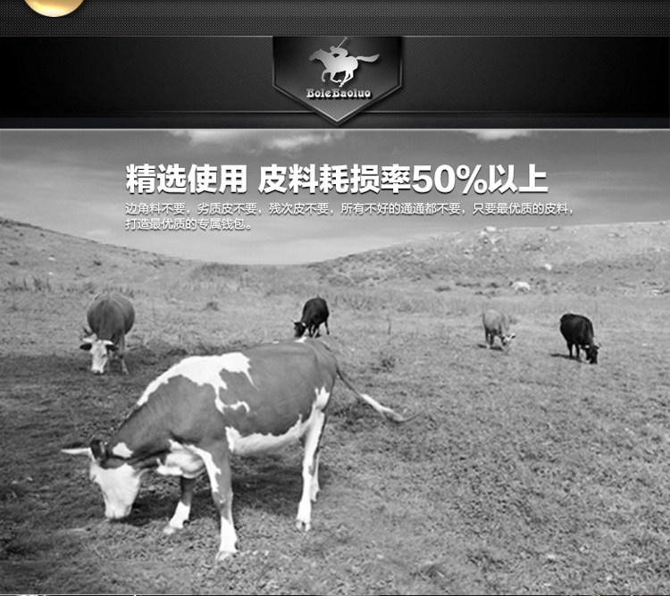 Sac pour homme - Ref 49851 Image 38