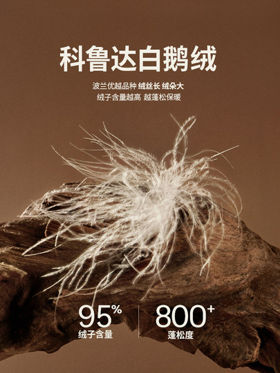 【科鲁达白鹅绒】LESS冬连帽百搭短款面包羽绒服外套女2O0C13630