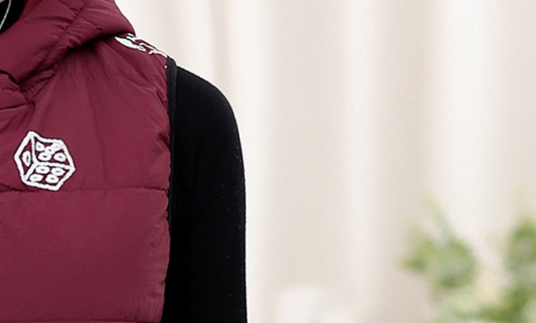 Áo vest nữ trung niên nữ 2018 thu đông 2018 xuống áo vest cotton đoạn ngắn 40-50 tuổi mặc vest dày áo khoác len nữ