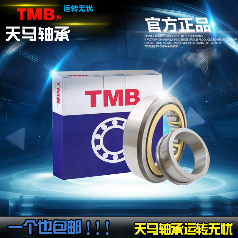 TMB Tianma Reducer bearing RN205 RN206 RN307 RN308 RN309 RN312 222 M