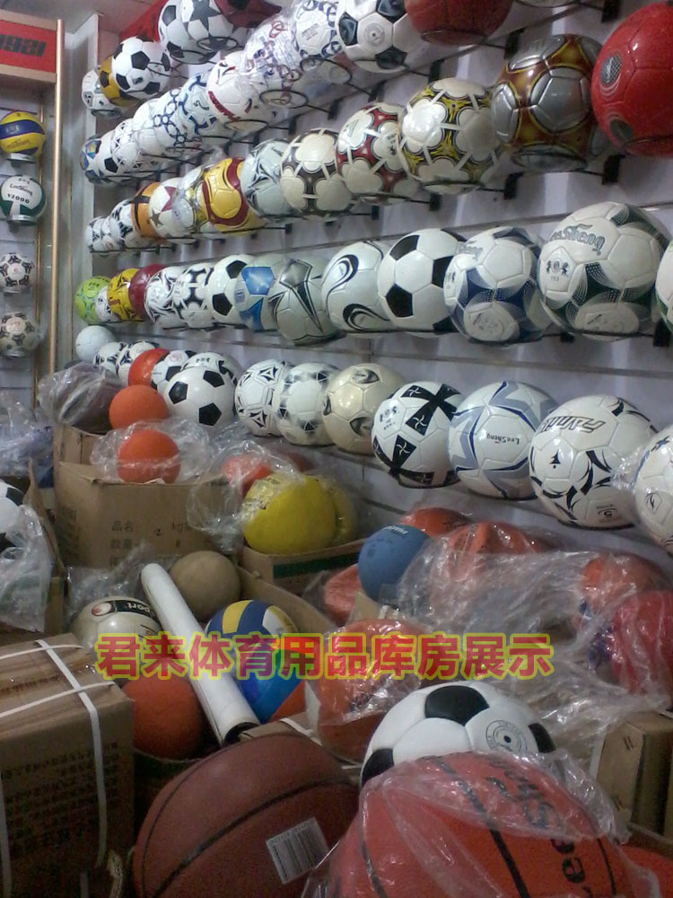 Ballon de volley - Ref 2008018 Image 13