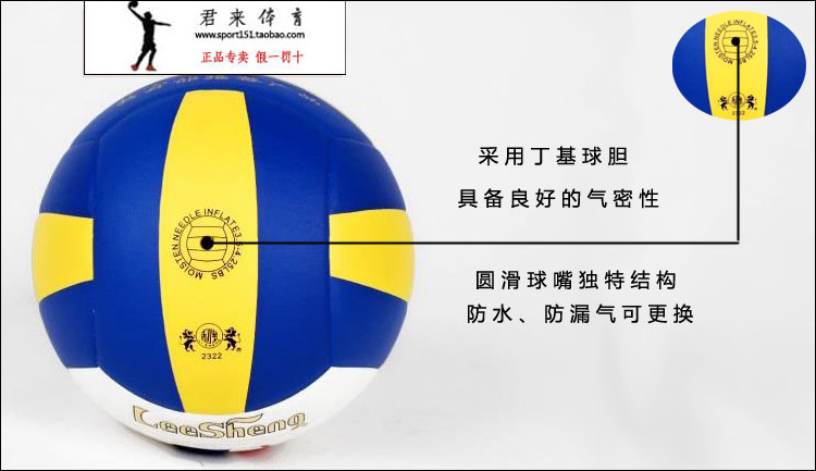 Ballon de volley - Ref 2008018 Image 18