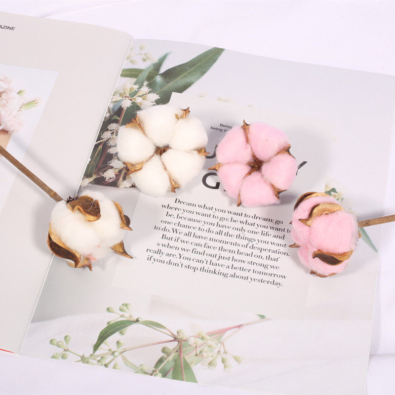 Cotton head photo-prop dry flower background Bins decorative pendulum swaty ornament to shoot creative objects Photography