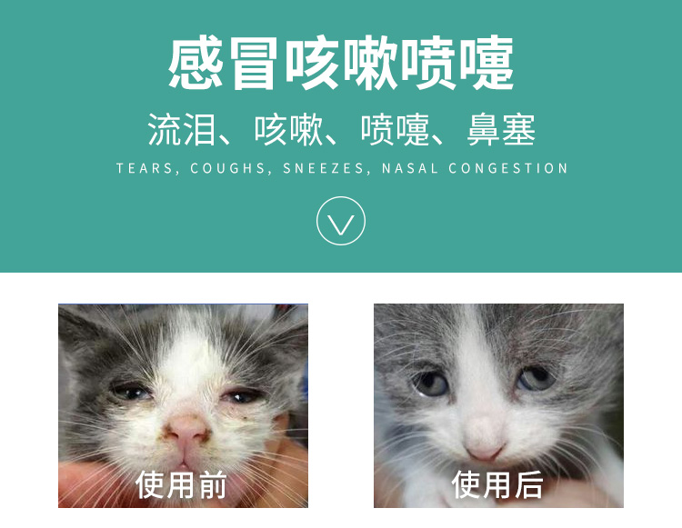 Mèo lysine với mèo con mèo đờm điều trị thuốc mũi mũi mèo hắt hơi hắt hơi mèo viên amoniac mèo xức mèo amine bột - Cat / Dog Health bổ sung sữa cho chó poodle