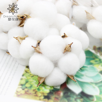 Cotton single village pastoral wind eternal cotton dried flower natural cotton bouquet packaging material floral decoration