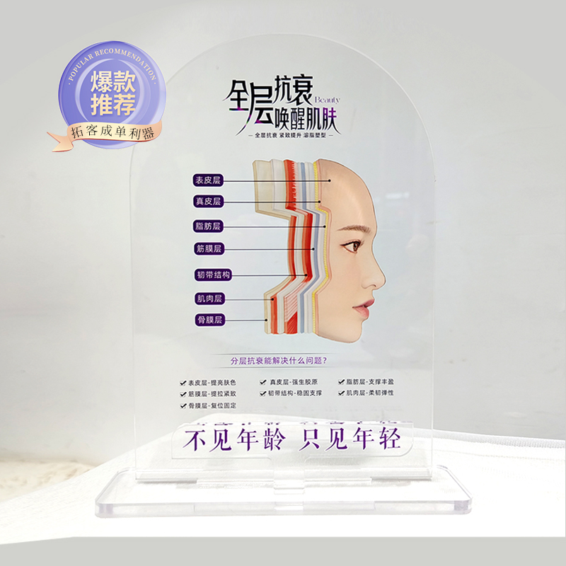 Beauty Display Sign with Layered Anti-Aging Skin Structure Design, High-Quality Acrylic Table Sign for Explaining Medical Skin Knowledge