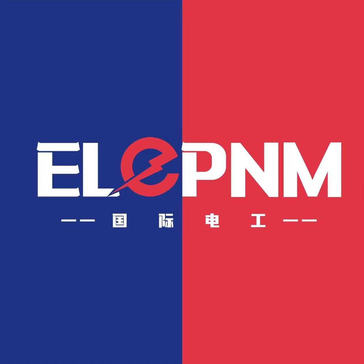ELEPNM国际电工专店的LOGO