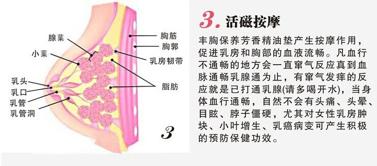 Coques pour soutien-gorge - Ref 811977 Image 9