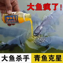 Fishing small medicine river dam fish must be killed black green small medicine herring black carp black green small medicine grass carp small medicine herring bait