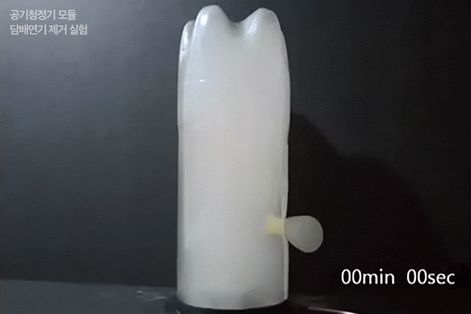  experiment.gif