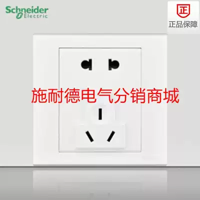 Schneider Ruyi Five Hole Two Three Pole Plug Power Socket Panel EV426UI
