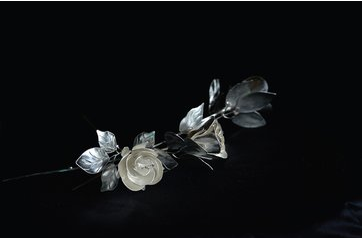 杨光宾的作品-
