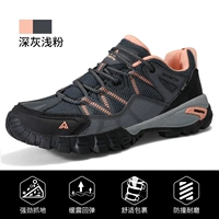 Модель серого/легкого порошка секретной сети