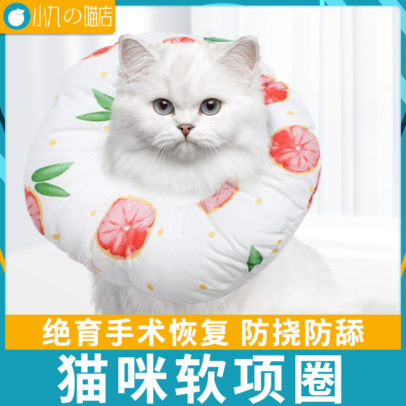 Elizabeth soft collar