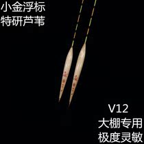 Small Gold floating V12 reed fish carp carp mixed culture Black pit greenhouse action Big sensitive eye-catching turn up