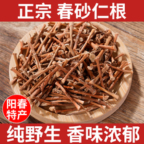 Les sables de printemps sauvages Rengan Zhengzongyang Chunchun Ringan Dry Root pour cuire la ferme deau Séchage du sable Rengan 250 gr