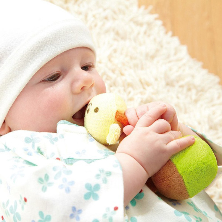 Japan Combi Combi Super soft Bear Ion baby rattle BB exercise hearing and grip ability