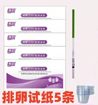 5 ovulation test strips to measure ovulation period LH high-precision accurate follicle detection strong positive test strips for women preparing for pregnancy semi-quantitative test strips