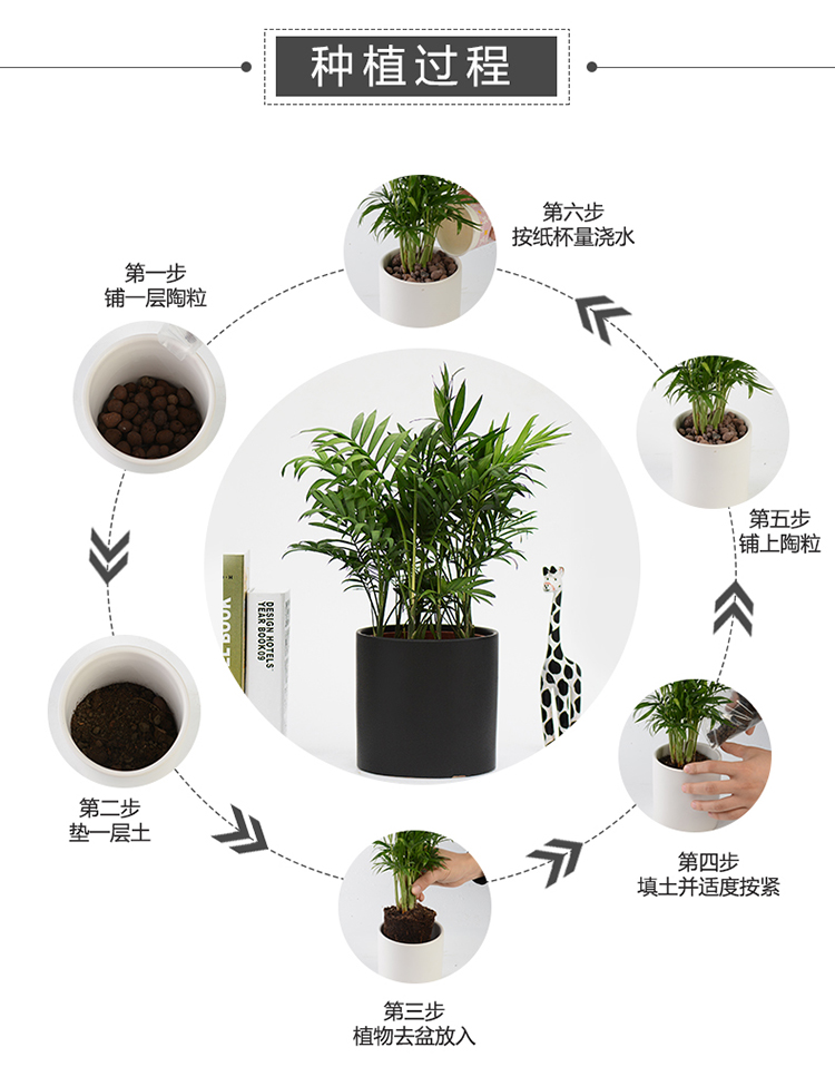 Đất dinh dưỡng thích hợp cho cây nhỏ thùng trồng rau thông minh