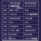 Травяные водостойкие тату наклейки подходит для мужчин и женщин, татуировка, делается под заказ, долговременный эффект