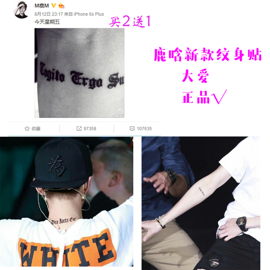 LUHAN with tattoo stickers arm Latin all the combinations I think, therefore I am waterproof