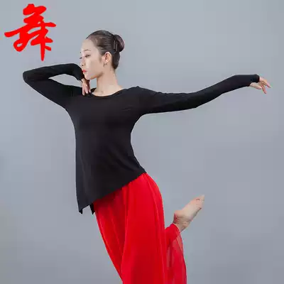 Dance practice clothes Top women's body dance clothing long-sleeved modern Latin classical Chinese dance training clothes