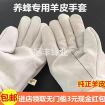  High-quality beekeeping special sheepskin gloves Anti-bee sting bee protection cotton bee clothing Bee tools beekeeping tools
