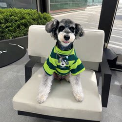Dog Striped Short-Sleeved Clothes, Small Dog Clothes, Spring and Summer Thin Puppy Clothes, Popular Schnauzer Teddy Clothes