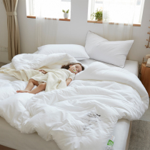 Healthy Bacteriostatic Fiber Quilt Core Quilt Full Pure Cotton Thickened Warm Winter Quilt With Single Person Double Season Summer Quilt By Spring Autumn Quilt