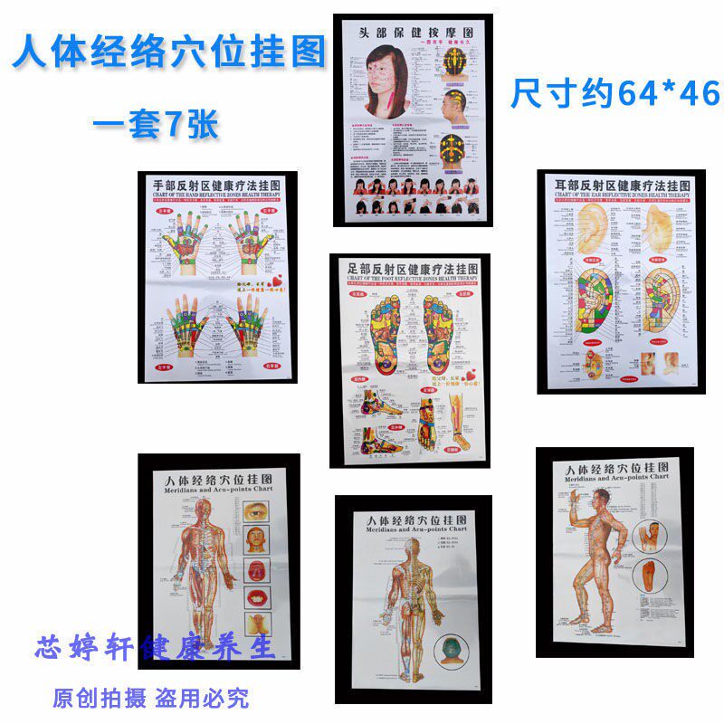7张手足耳头部脚底全身人体穴位图十二经络大挂图解足底防水高清