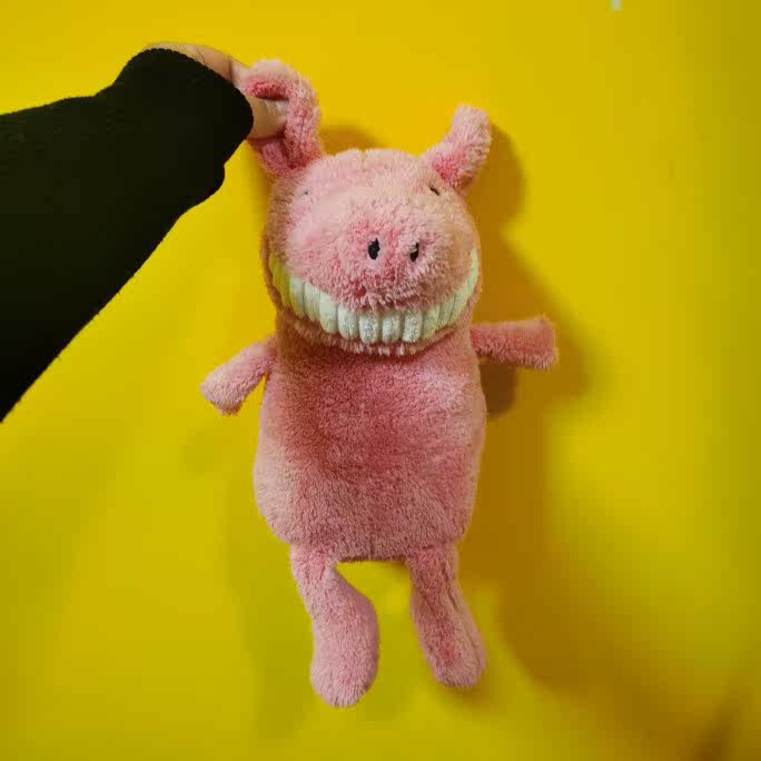 smiley pig
