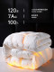 Atour Princess down Quilt 95% White Goose down Quilt Core Winter Quilt Thickened Warm Winter Duck down Quilt Spring and Autumn Quilt