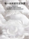 Atour Princess down Quilt White Goose down Quilt Winter Quilt Thickened Warm Winter Quilt Core Single Spring and Autumn Quilt