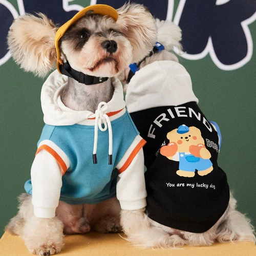 Демисезонный милый пуховик, комплект с капюшоном, демисезонная трендовая толстовка, осенний сезон