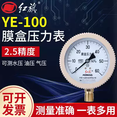 Factory Direct Red Flag instrument bellows pressure gauge kilopa meter micro pressure gas gauge YE-100 0-6 25KPA