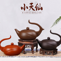 Special Teapot Yixing Purple Sand Teapot Purple Sand Teapot Tea set Purple Sand Modern Purple Sand Art Small Tianxian Teapot