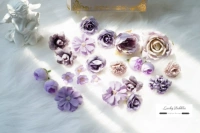 Темно-фиолетовый