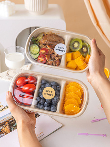 Fruit Packaging Box, Disposable Lunch Box, Spring Outing, Picnic, Camping Lunch, Light Meal, Reduced-Fat Meal, Double-Co