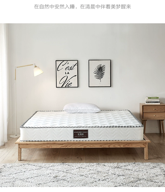 Nệm xơ dừa tự nhiên đôi thoải mái nệm lò xo độc lập sử dụng kép 1,8 m × 2,0 m dày 22 cm - Nệm