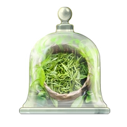 Trà trắng, trà xanh, trà đen, nước hoa, nước hoa thơm ngon, bộ sưu tập món quà ngon