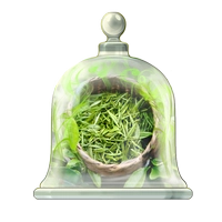 Trà trắng, trà xanh, trà đen, nước hoa, nước hoa thơm ngon, bộ sưu tập món quà ngon nước hoa replica