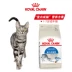 Thức ăn cho thú cưng hoàng gia Pháp I27 thức ăn trong nhà cho mèo 2kg để giảm mùi hôi thối làm mất bóng lý tưởng - Cat Staples Cat Staples