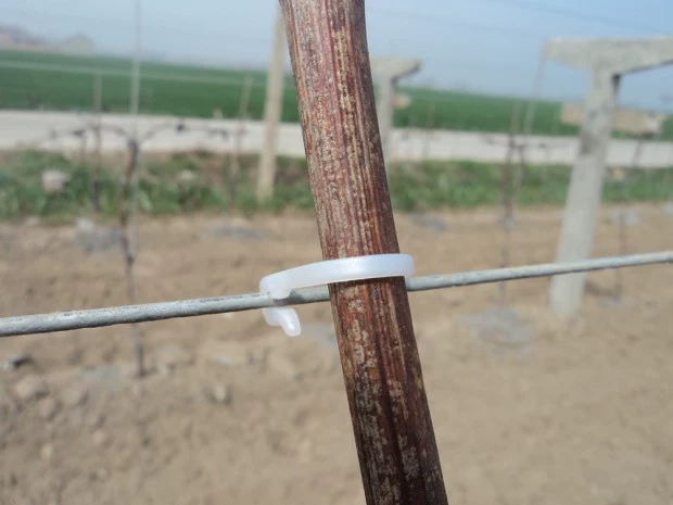 Nông nghiệp móc móc nhà kính kiwi trái cây buộc chi nhánh clip gắn khóa móc khóa máy làm vườn cung cấp đóng gói - Nguồn cung cấp vườn vòi tưới cây