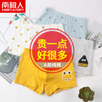 Antarctic childrens underwear cotton boy boxer baby child middle child cotton 12 four corner shorts 15 years old