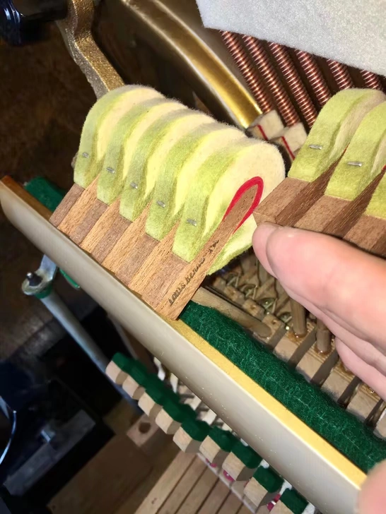 Nhật Bản nhập khẩu sàn Yamaha Yamaha / đàn piano dạy tại nhà APOLLO Apollo