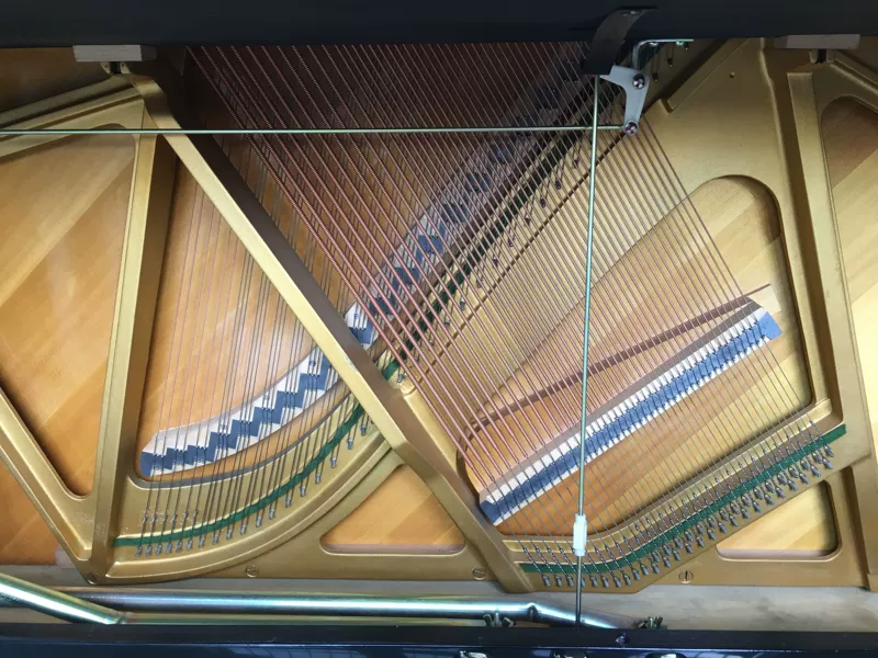 Thử nghiệm đàn piano gốc Yamaha Yamaha U1G gốc Nhật Bản - dương cầm