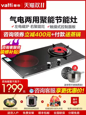 Vantage Electric Gas Furnace i10015B Household Gable Stove Electrical Dual-purpose Gas Liquefied Gas Double Port Gas Furnace