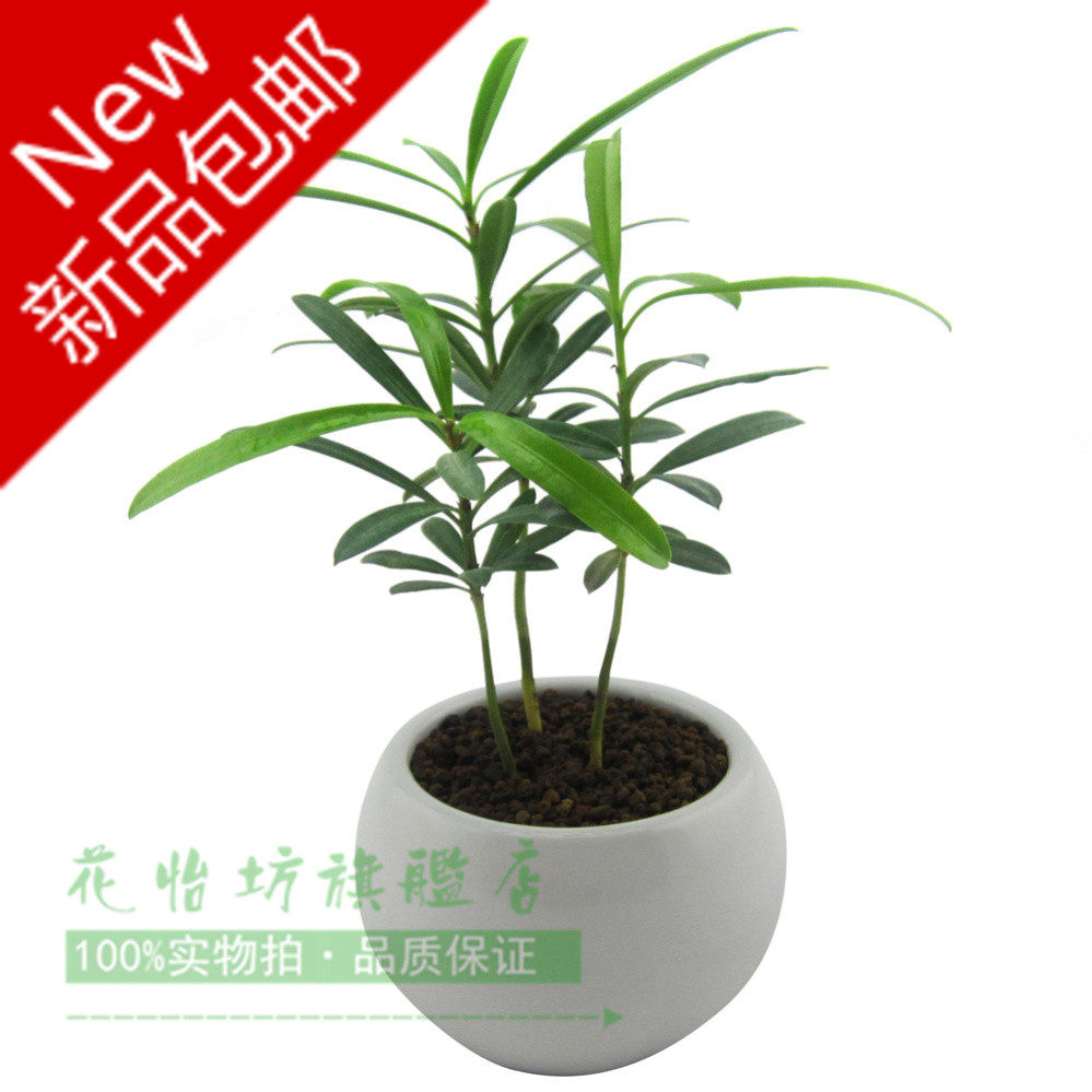 ��������������